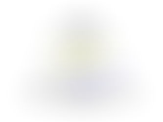 Region IV, Chief Elected Officials Meeting Public Notice