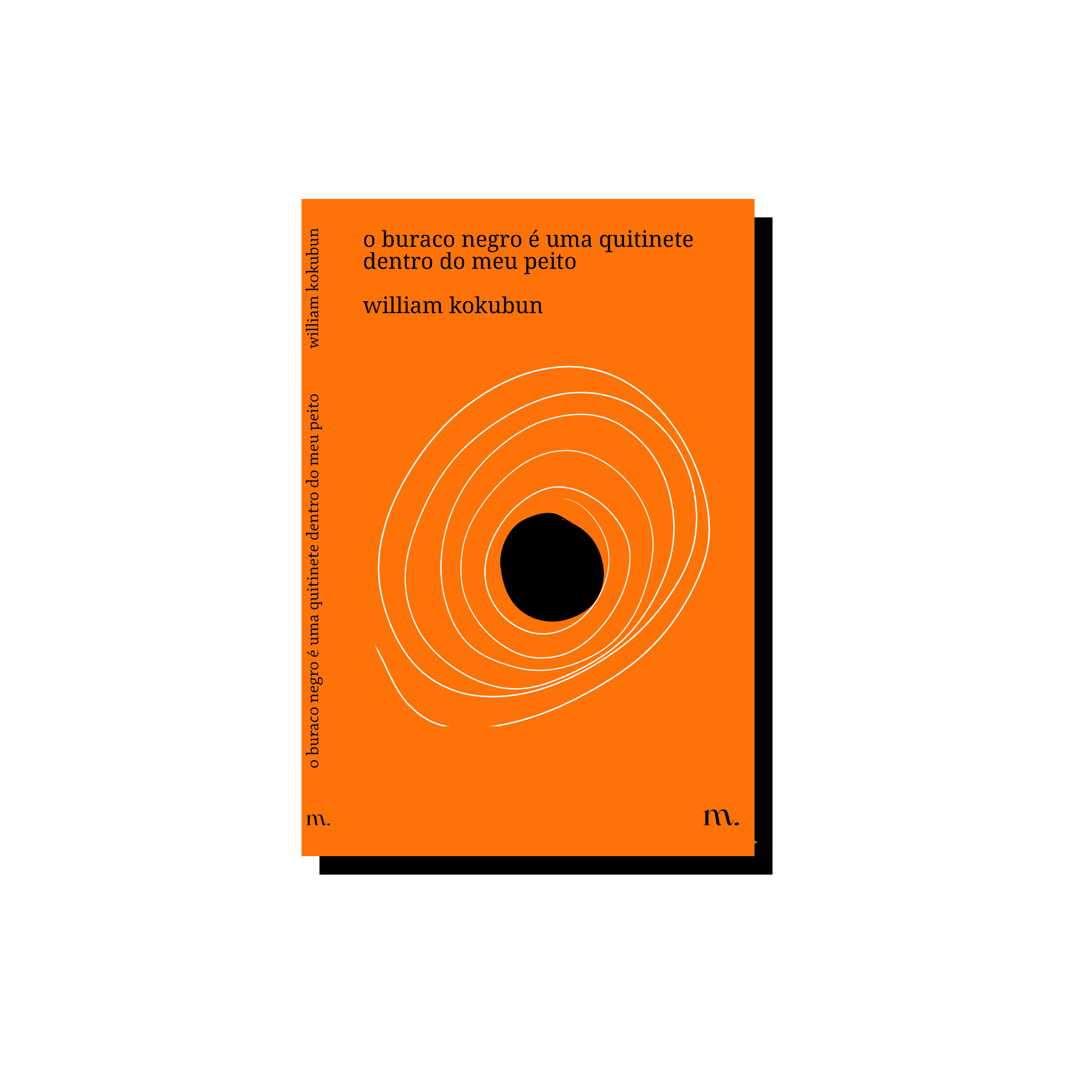 o buraco negro é uma quitinete dentro do meu peito, de william kokubun