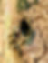 IMG_1833_edited.jpg