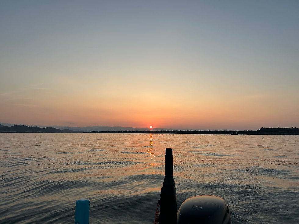 2025年8月18日(月)朝日