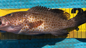 2023年1月9日(月)