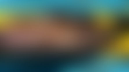 2023年1月9日(月)