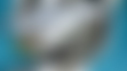 2022年8月17日（水）