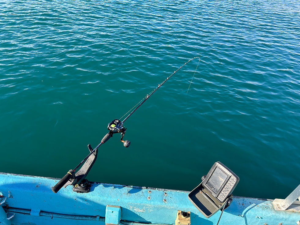 泳がせ釣りの風景