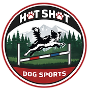 HSDS nobg.png