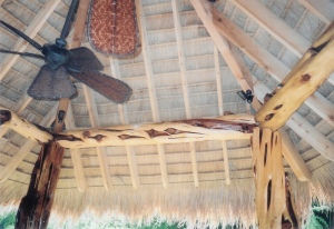 Cabana thatch