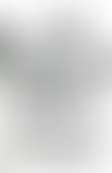 THE WALKING DEAD: VOLUME 1(3)