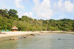 Andaman 12