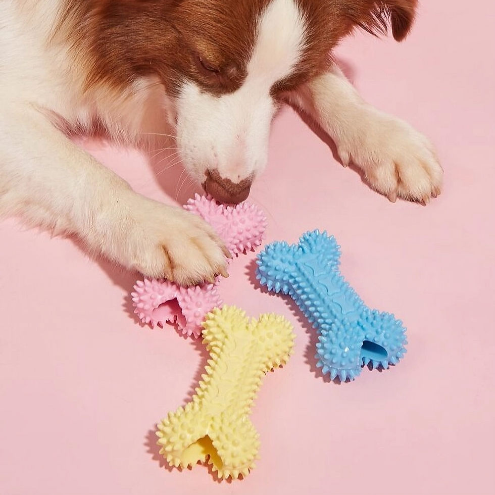 Miniatura: HUESO LLAMA DIENTES