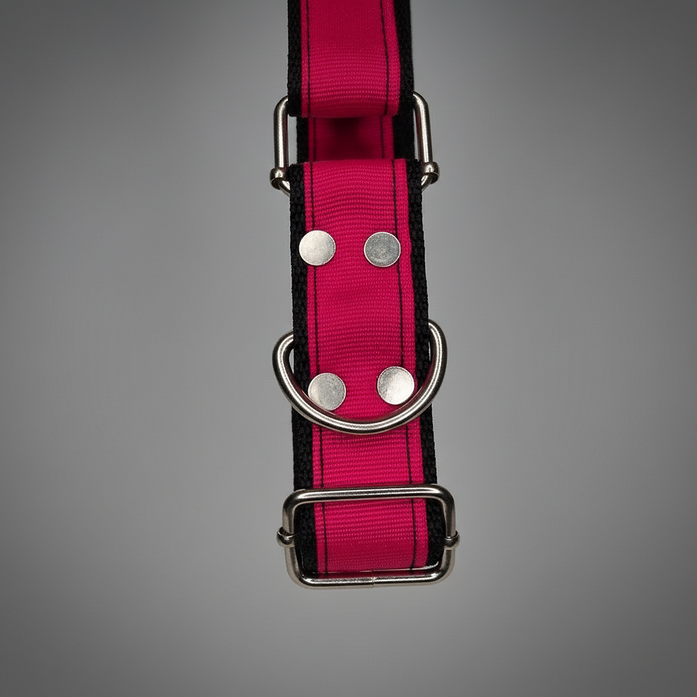 Miniatura: GARGANTILLA NEON