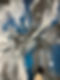 IMG_3565.jpeg