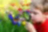 exploring-nature-with-children-4.webp