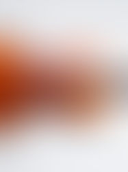 バイオリンを弾くときの良い姿勢って？