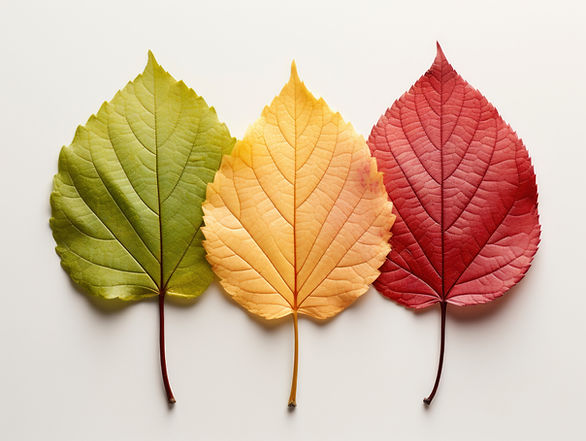 assortment-colorful-dry-fall-leaves.jpg