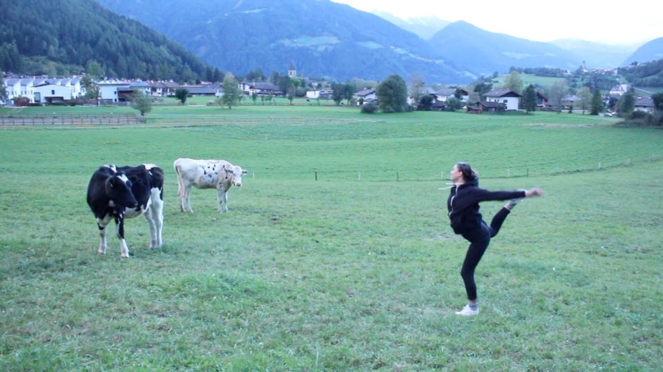alps move 9.jpg