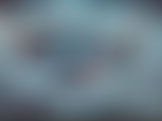 FROM WORDS TO ACTION: TRUMP’S VISION & WHY CORPORATE AMERICA MUST SUPPORT THE 6GIR BIOME UNITY BRIDGE PILOT