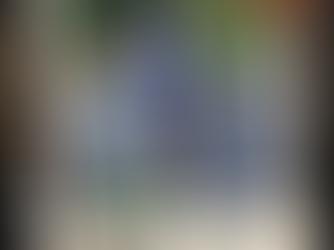 Have you ever done anything like this?