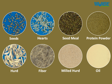 Industrial Hemp – We’ve never worked with a plant that has so many applications!