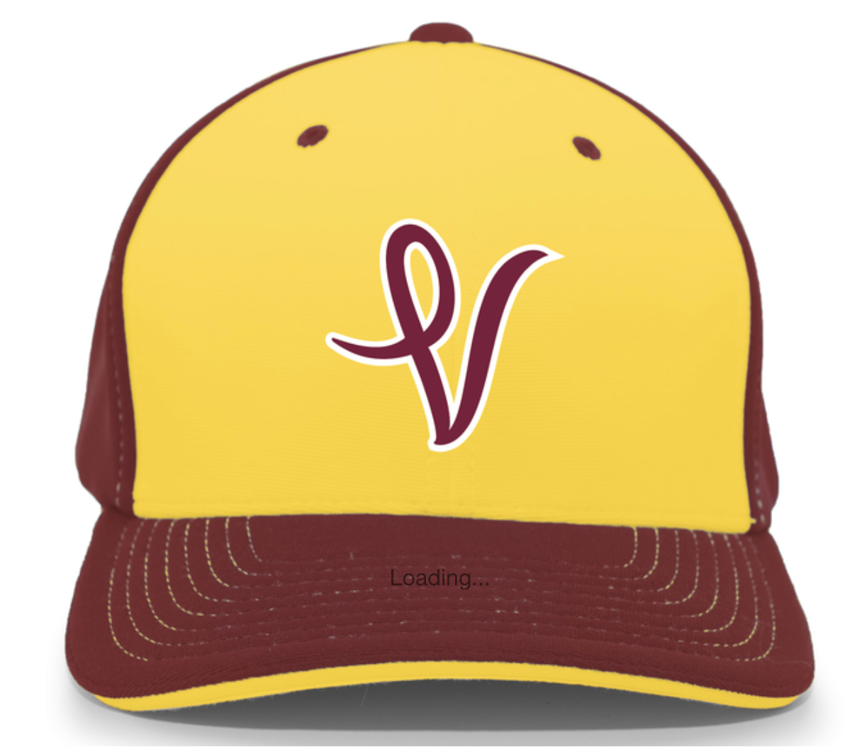 THE VINE PRACTICE HAT