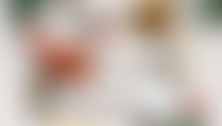 10 Life Changing Herbs and Spices (+ How to use them!)