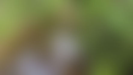 A Child's Perspective: Favorite Adventure Fridays