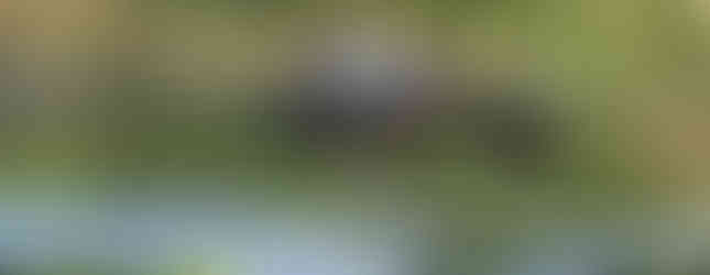 Mister and Ruth fishing.