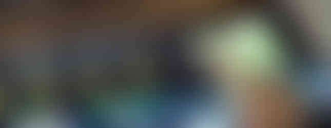 Jon learning about gators at the Everglades National Park.