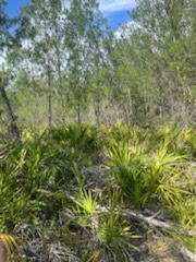 Stephen J. Wortham Park.