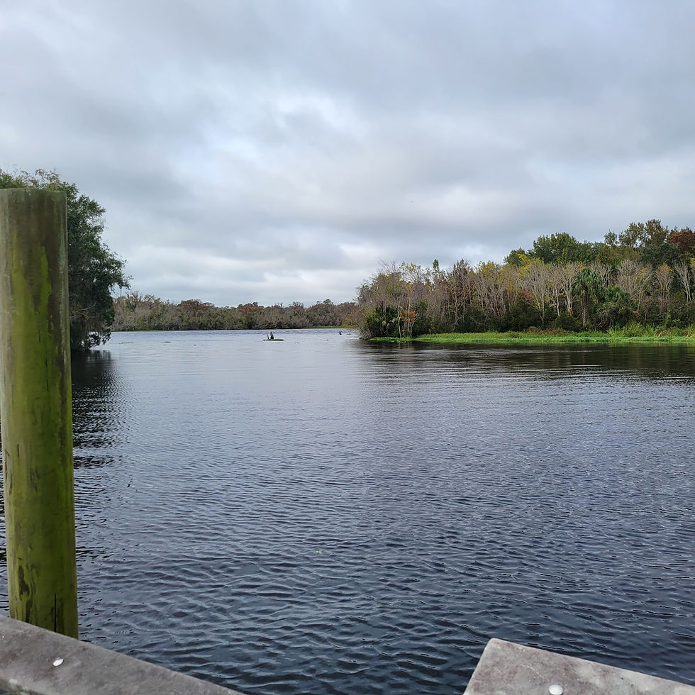 St. John's River