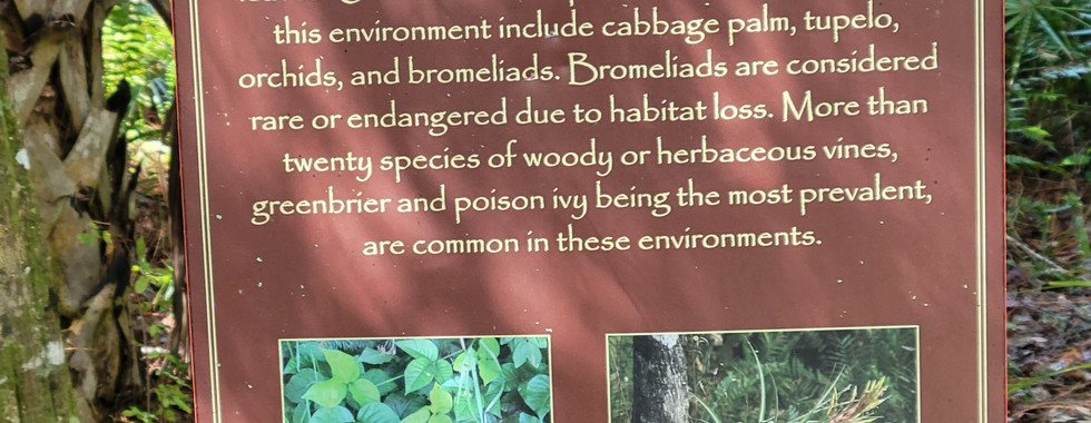 Plant Facts