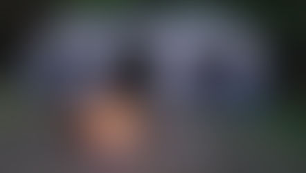 Camping Trip: Hogs Island Campground in Withlacoochee State Forest