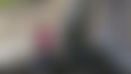 One Tank Trips: Fort DeSoto