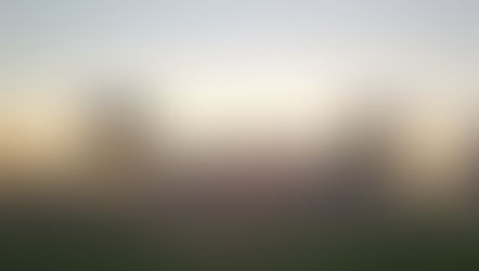 What's so Special about Buc-ee's?