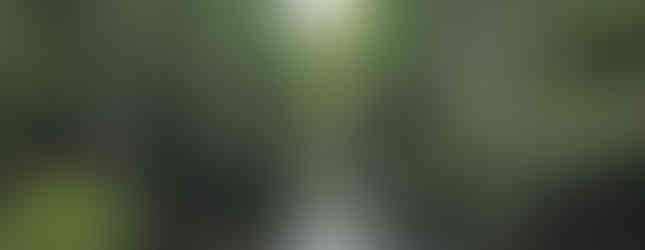 Big Cypress National Preserve.