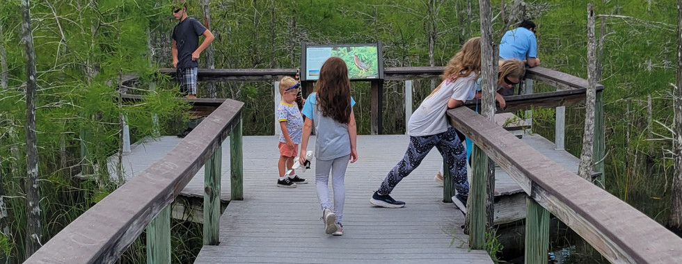 Everyone exploring in Everglades National Park.