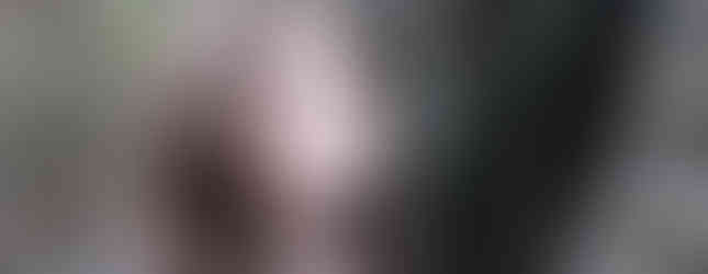 Katherine sitting in a tree.