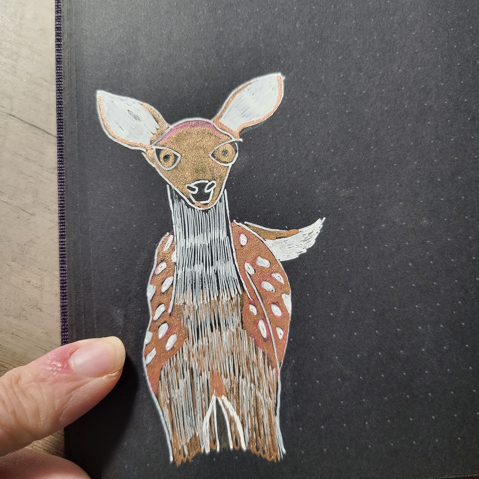 drawing of a fawn