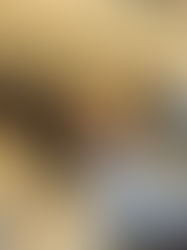 Crucial Guide to Rain Gutter Cleansing: Why It Issues and Exactly how to Do It Right