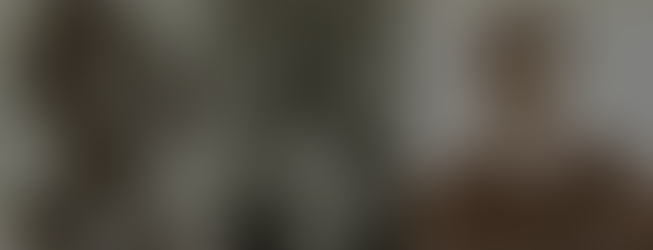 D. Afonso V - O Rei Menino