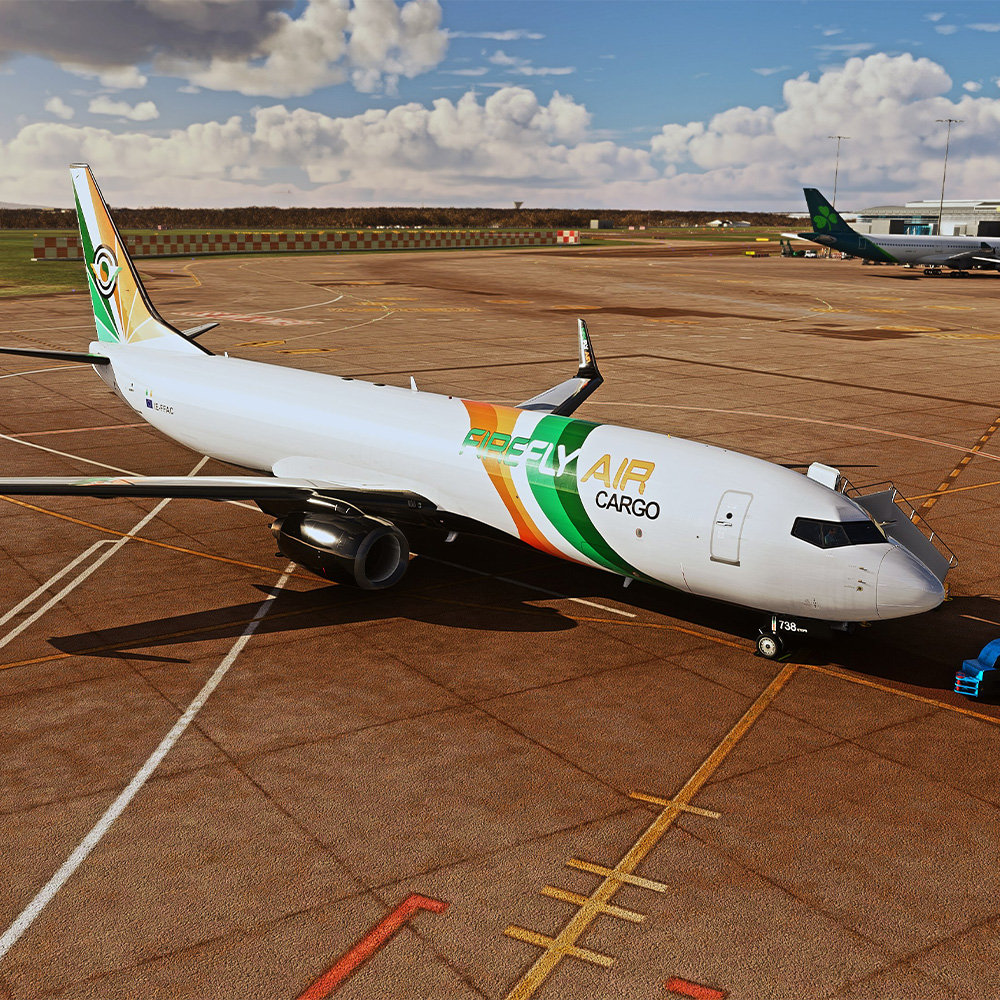 FFA 737-800 Cargo | twotonemurphy