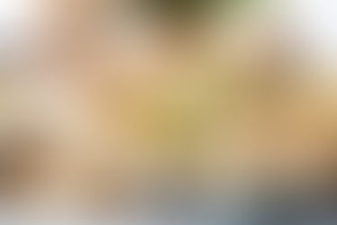 Oua umplute cu sunca si ardei.