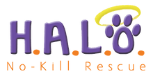 Halo.png
