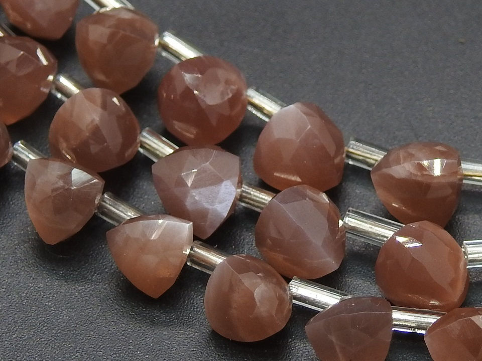 Chocolate Moonstone Faceted Trillions