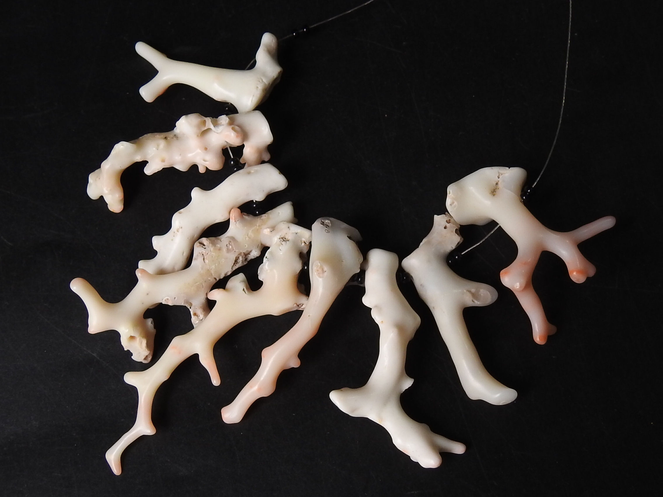 White Coral Natural Polished Rough Stick/9Piece 21To57MM Long/BK-CR1-B