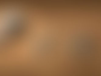 History of Japanese Acupuncture and Moxibustion