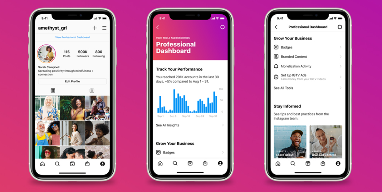 ProfessionalDashboard