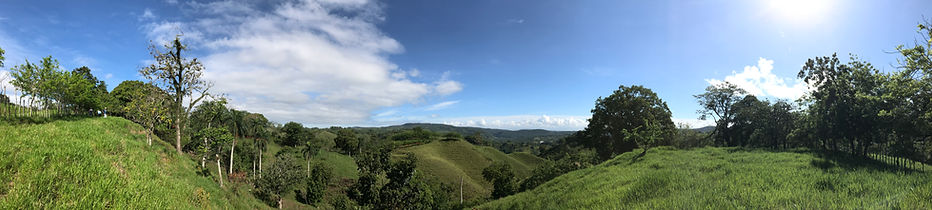 IMG_0303.jpeg