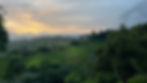 IMG_7261.jpeg