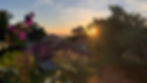 IMG_4443.jpeg