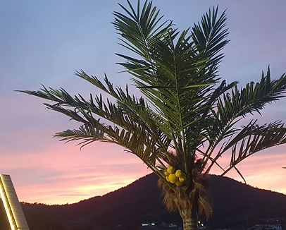 KakaoTalk_20211209_213200187_14 (1).jpg